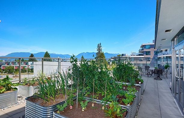 209 508 W 29th Avenue Cambie