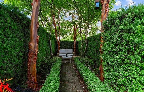2416 W 8th Avenue Kitsilano