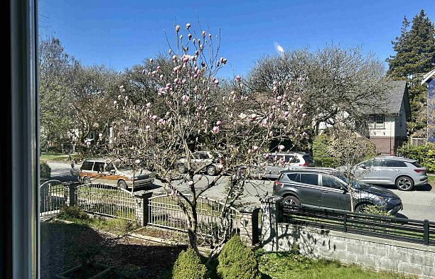 1544 W 68th Avenue S.W. Marine
