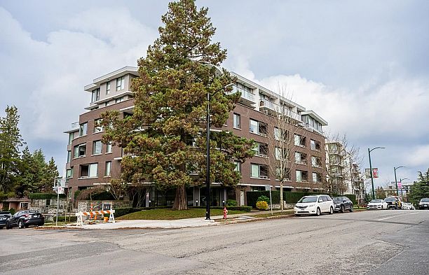 301 505 W 30th Avenue Cambie