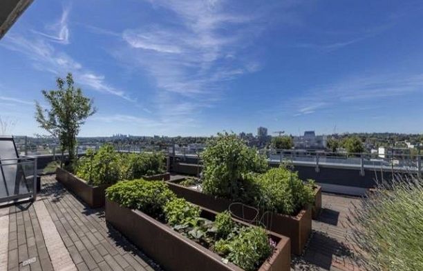 905 111 E 1st Avenue Mount Pleasant VE