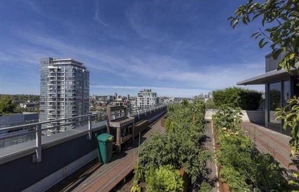 905 111 E 1st Avenue Mount Pleasant VE