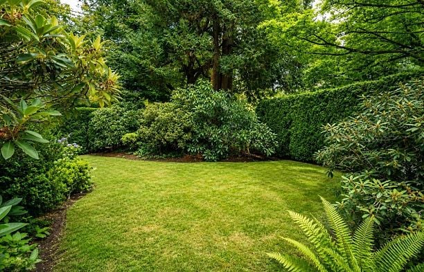 1903 W 14th Avenue Kitsilano