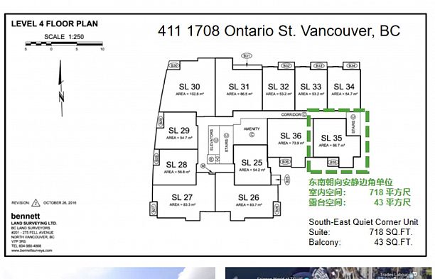 411 1708 Ontario Street Mount Pleasant VE