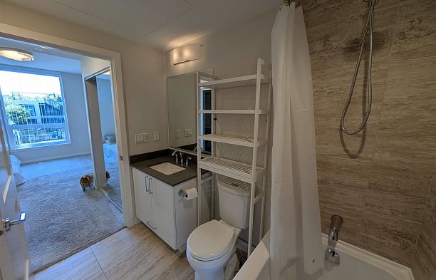 411 1708 Ontario Street Mount Pleasant VE