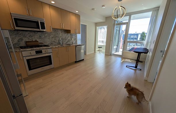 411 1708 Ontario Street Mount Pleasant VE