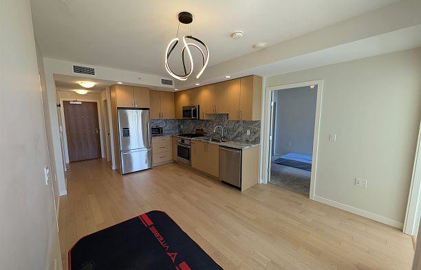 411 1708 Ontario Street Mount Pleasant VE