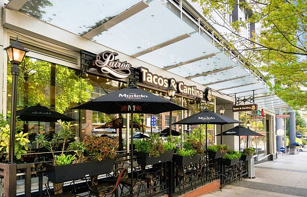 1703 233 Robson Street Downtown VW