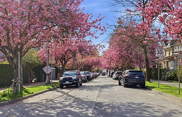 14 W 14th Avenue Mount Pleasant VW