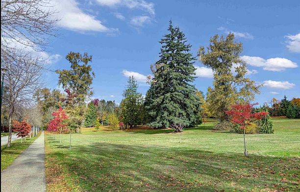 8295 Angus Drive S.W. Marine