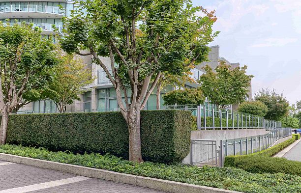 1582 Homer Mews Yaletown
