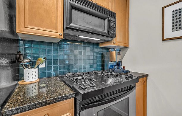 307 928 W Richards Street Street Yaletown