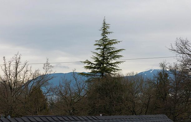 4 419 W 23rd Avenue Cambie