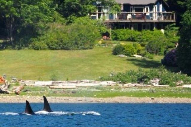 22 Brighton Beach North Vancouver, BC - 1