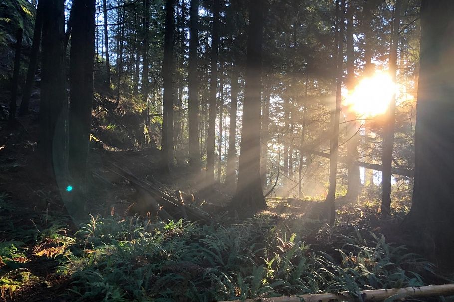 22 Brighton Beach North Vancouver, BC - 13