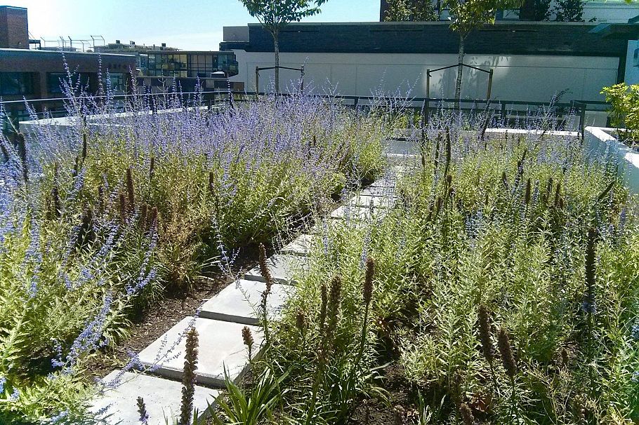 816 188 KEEFER STREET Vancouver, BC - 4