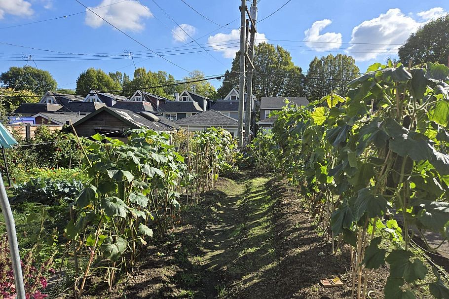 872 UNION STREET Vancouver, BC - 2