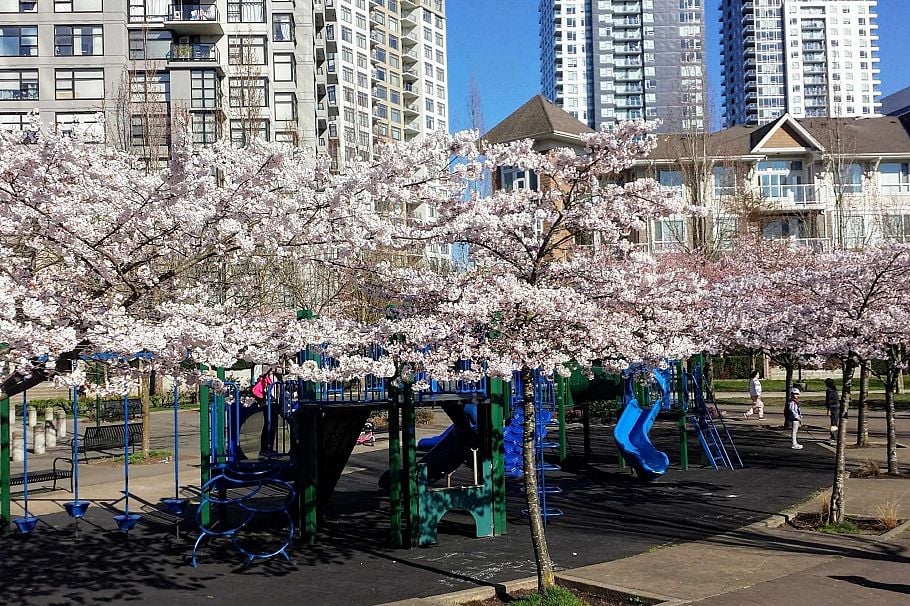 211 3551 FOSTER AVENUE Vancouver, BC - 15