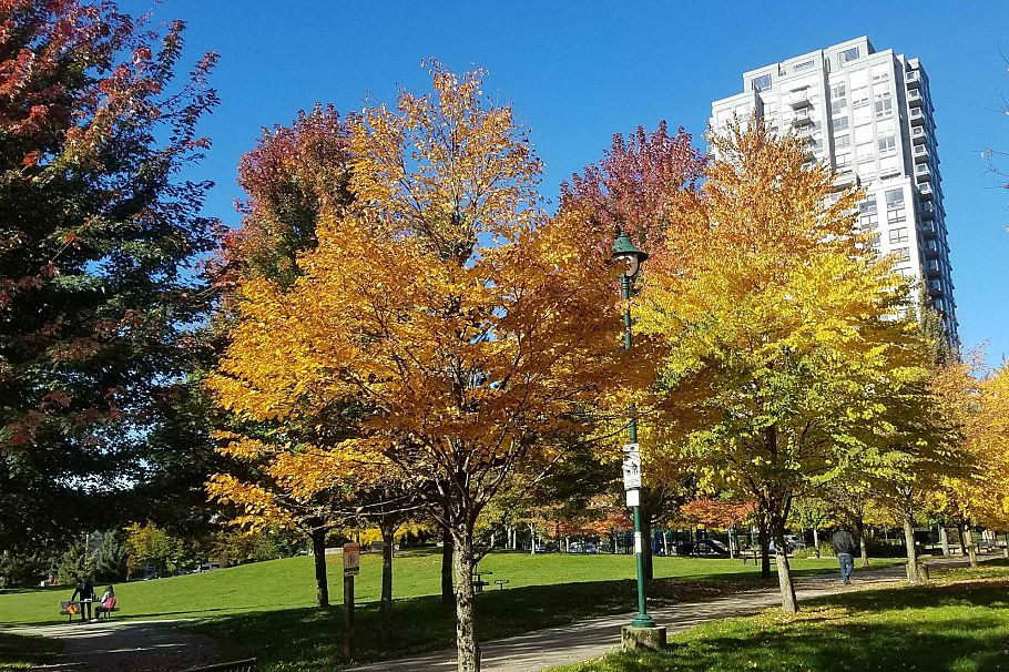 211 3551 FOSTER AVENUE Vancouver, BC - 13