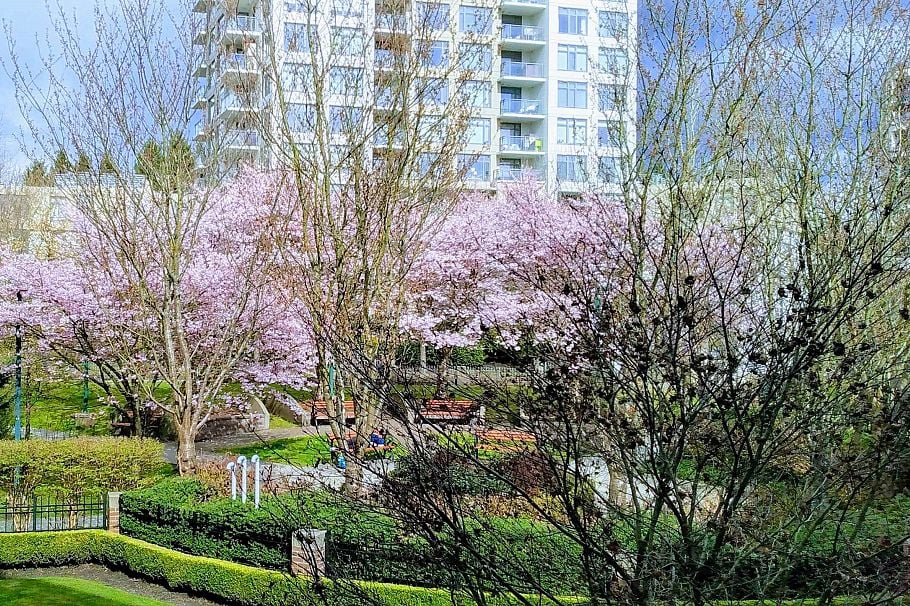 211 3551 FOSTER AVENUE Vancouver, BC - 12