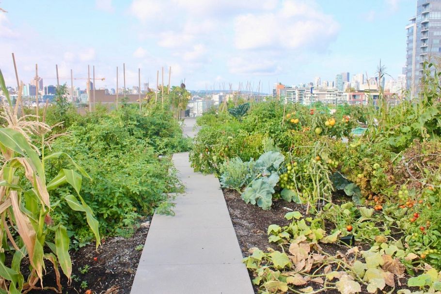 1014 180 E 2nd Avenue Vancouver, BC - 19