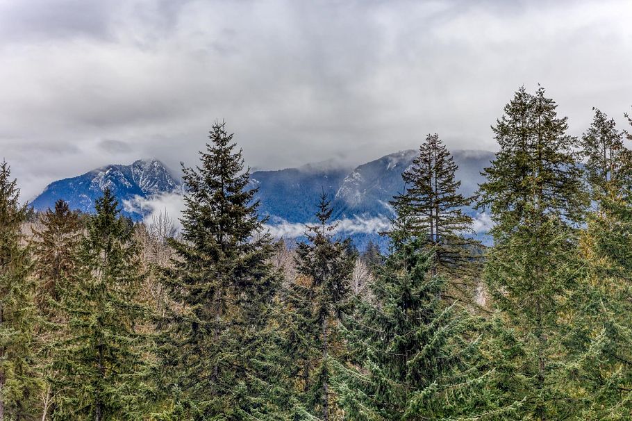 1205 2004 Fullerton Avenue North Vancouver, BC - 25