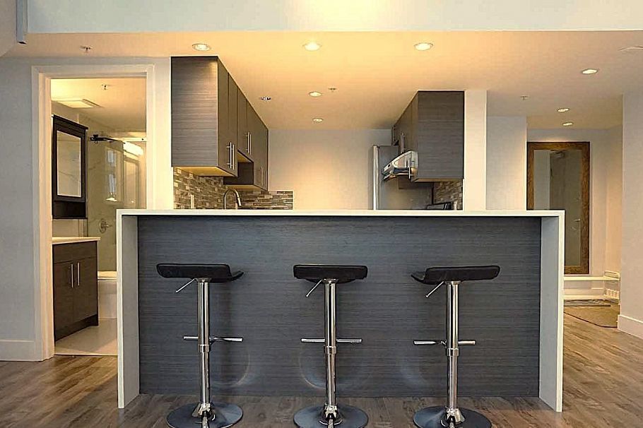 905 1238 Seymour Street Vancouver, BC - 5