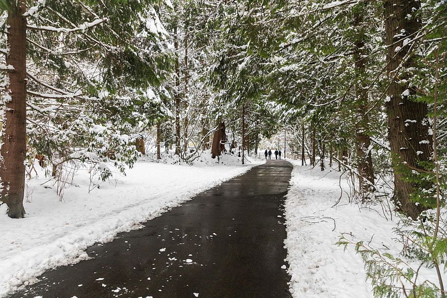 502 2325 Emery Court North Vancouver, BC - 39