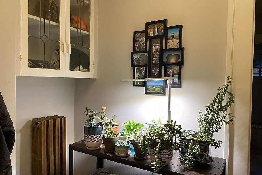 3716 W 16th Avenue Vancouver, BC - 7