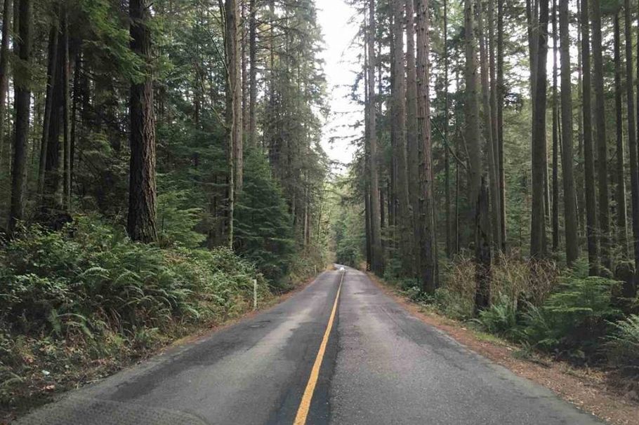 308 Sasamat Lane North Vancouver, BC - 3