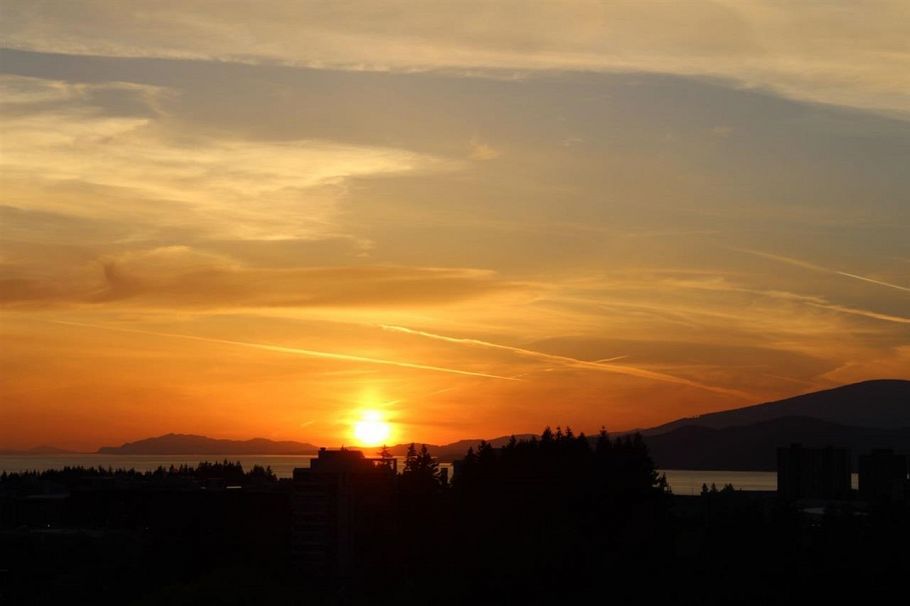 1801 5639 Hampton Place Vancouver, BC - 18