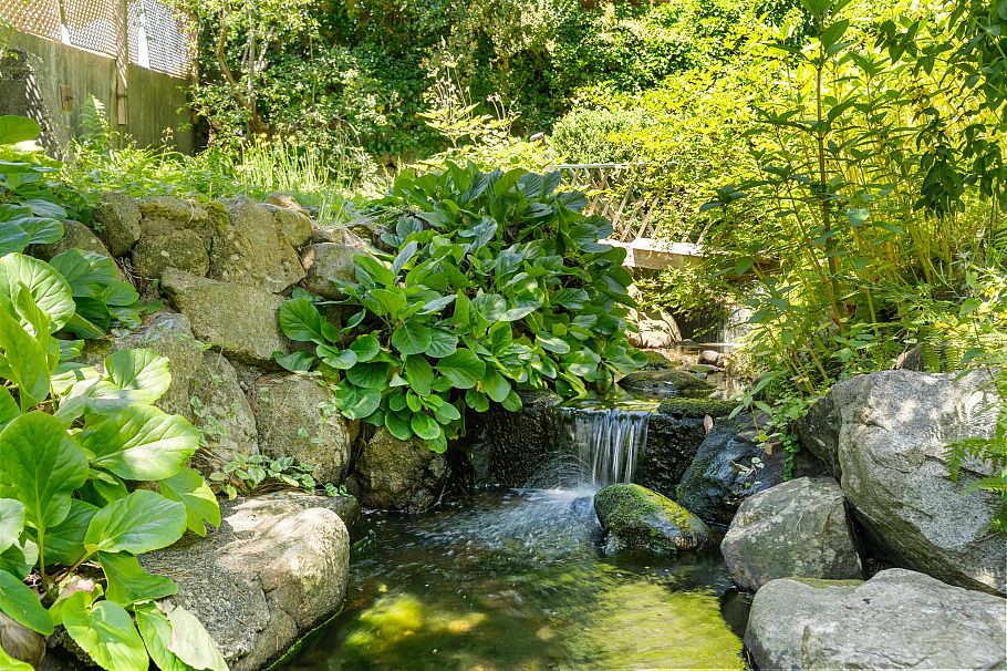 151 E Kings Road North Vancouver, BC - 4