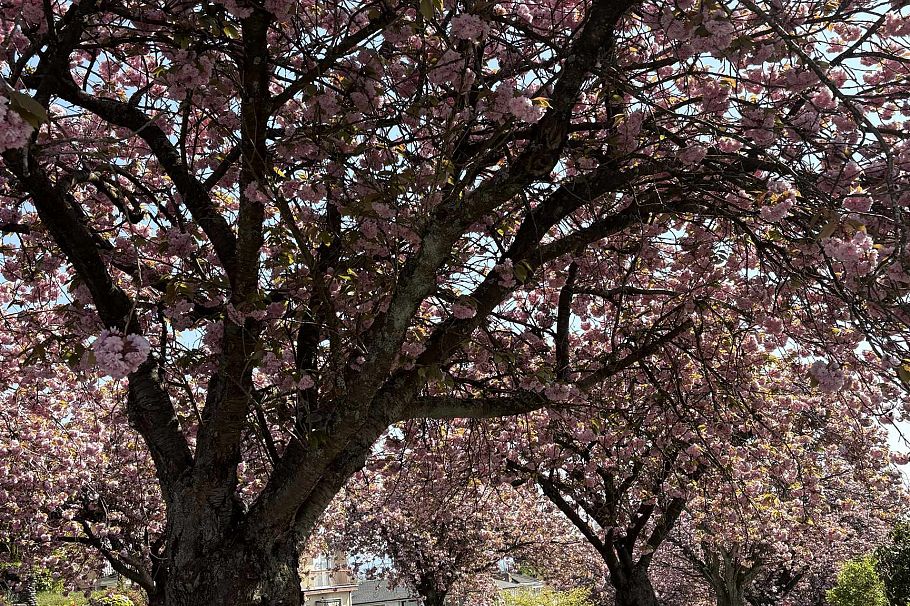 2972 E 7th Avenue Vancouver, BC - 24