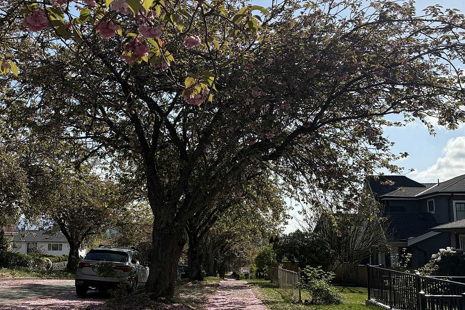 2972 E 7th Avenue Vancouver, BC - 25