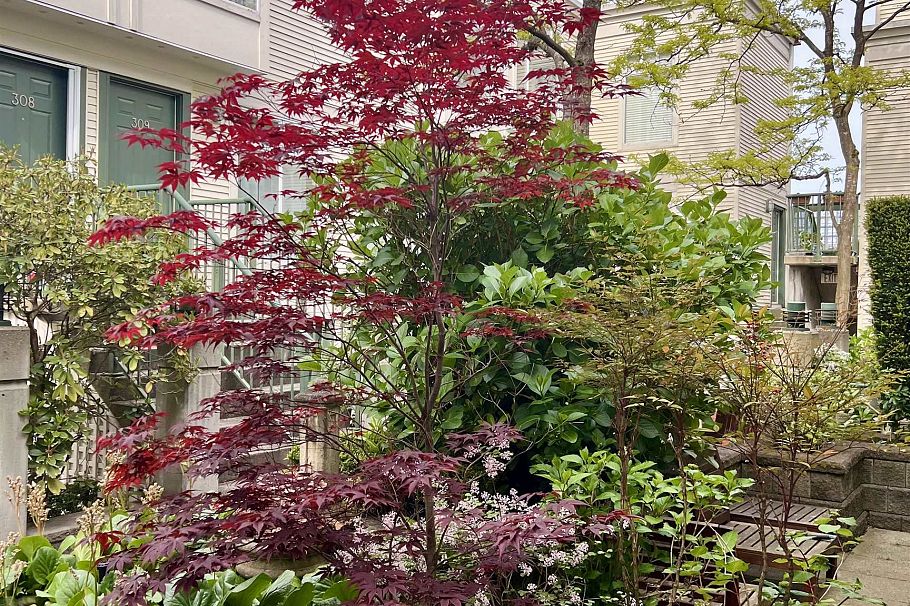 311 3727 W 10th Avenue Vancouver, BC - 3