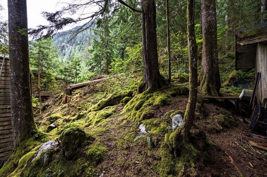 11 East Of Croker Island North Vancouver, BC - 29