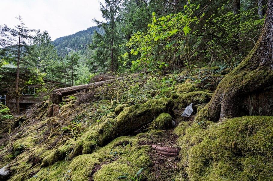 11 East Of Croker Island North Vancouver, BC - 28