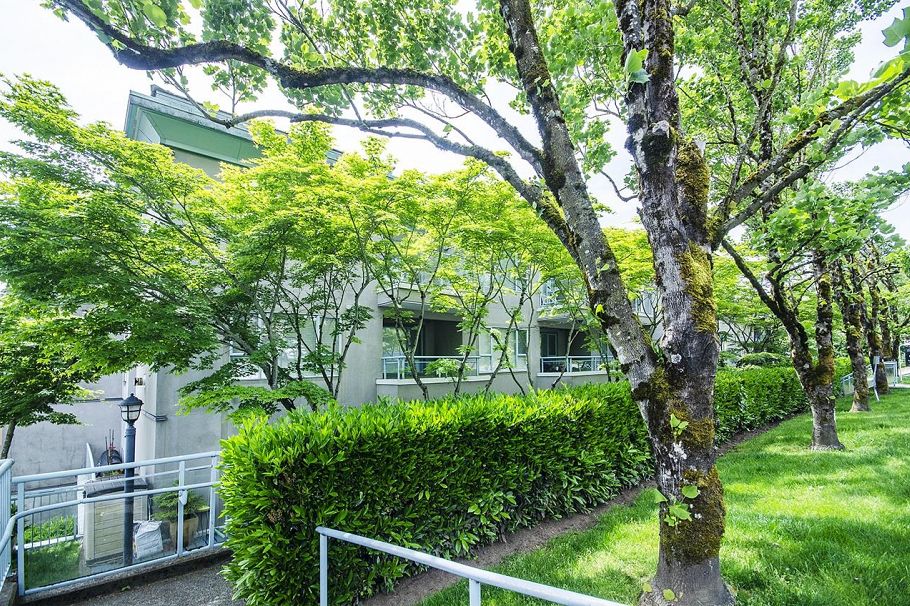 206 1085 W 17th Street North Vancouver, BC - 5