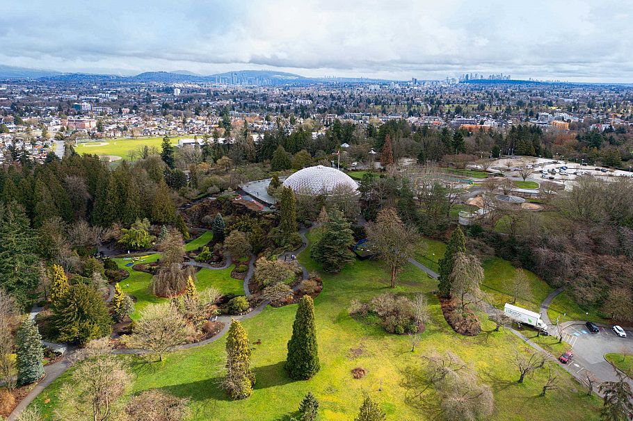 104 4932 Cambie Street Vancouver, BC - 6