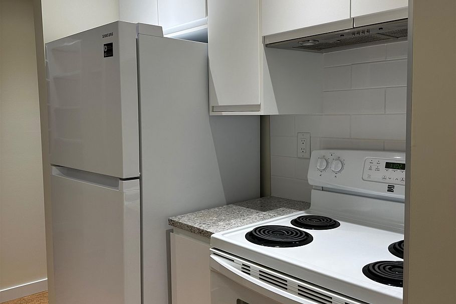 309 1422 E 3rd Avenue Vancouver, BC - 4