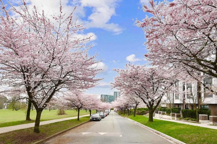 356 W 62nd Avenue Vancouver, BC - 34