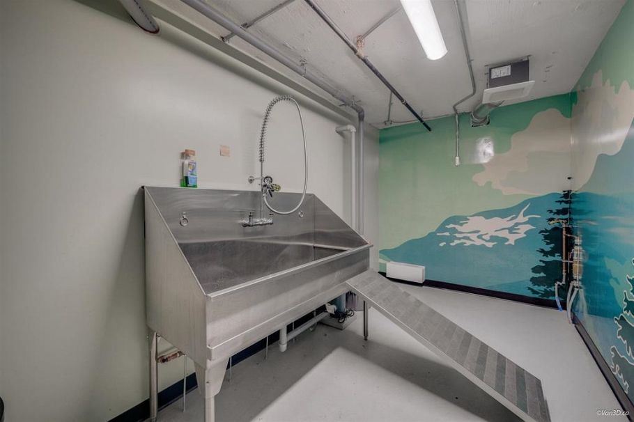 514 108 E 8th Street North Vancouver, BC - 18