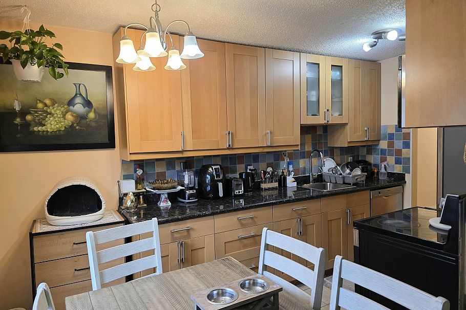 309 225 W 3rd Street North Vancouver, BC - 7