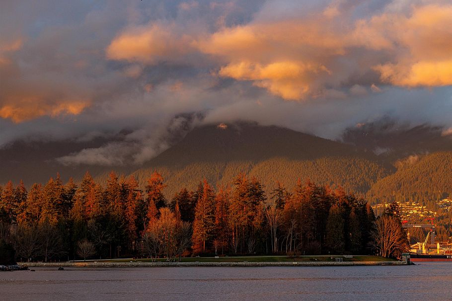 1403 1818 Alberni Street Vancouver, BC - 17