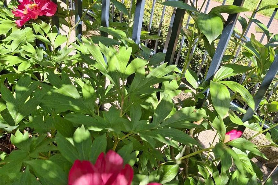 106 1510 Nelson Street Vancouver, BC - 13