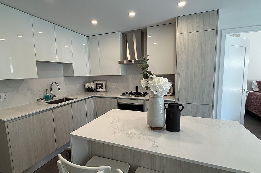 207 488 W 58th Avenue Vancouver, BC - 1