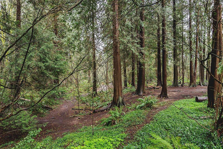 407 2059 Chesterfield Avenue North Vancouver, BC - 39