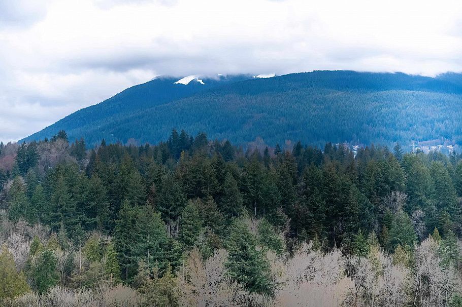 2007 680 Seylynn Cres North Vancouver, BC - 23