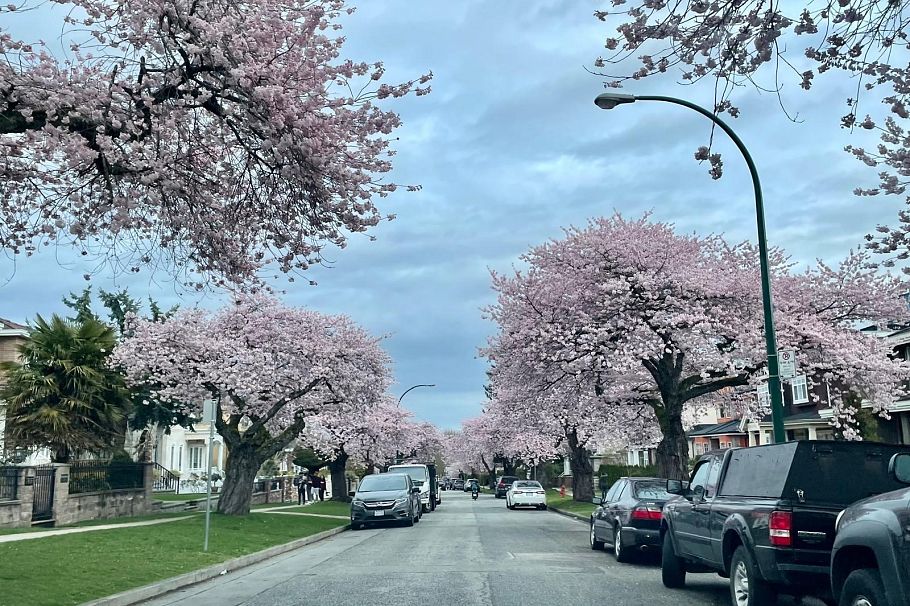 8107 Shaughnessy Street Vancouver, BC - 3