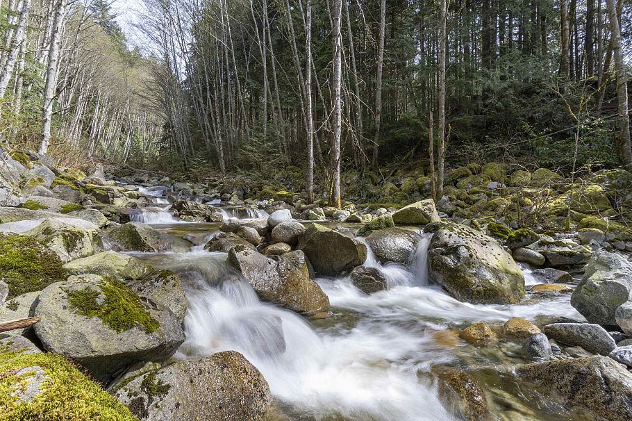 568 Palisade Drive North Vancouver, BC - 32